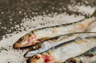 Düz bir su üzerinde yatan deniz tuzu ile tüm çiğ organik uskumru balık