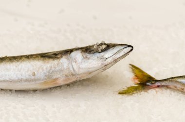 Düz bir su üzerinde yatan deniz tuzu ile tüm çiğ organik uskumru balık