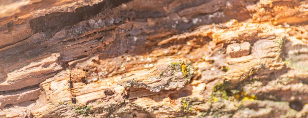 Vintage yüzey ahşap masa ve rustik doku arka plan, closeu