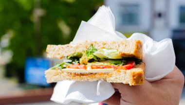 Domates, peynir, turşu, marul ve hindistan cevizi tabanlı alternatif