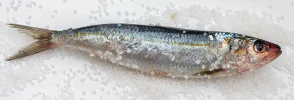 Çiğ Uskumru Balığı Beyaz Seramik Yüzeyinde Deniz Tuzu Sağlıklı Besin — Stok fotoğraf