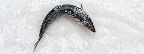 Peixe Cavala Cru Com Sal Marinho Superfície Cerâmica Branca Alimentos — Fotografia de Stock
