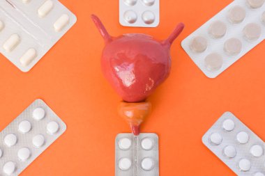 Anatomik Modeller prostat ve mesane altı blister paketleri içinde altı köşeli yıldız görüntünün köşelerinde turuncu arka plan beyaz hap ile çevrili. Konsept sanat fotoğraf prostat tedavisinde