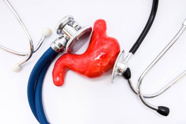 Gastroenteroloji ve mide sınavında tıp kavramı. Anatomik şekil kopya mide veya mide üstten görünüm muayene Stetoskoplar iki kafa ile çevrilidir