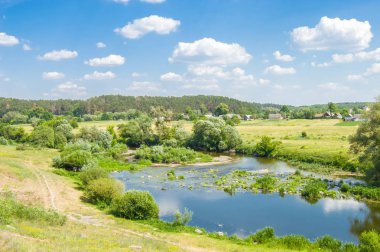 Nehir Teteriv (Teterev). Taş engeller - rapids veya bir orman mavi gökyüzü ile kırsal manzara ile ev ileride arka plan ve su meadows nehrin ortasında belgili tanımlık nehir yatak üzerinde uçurumları