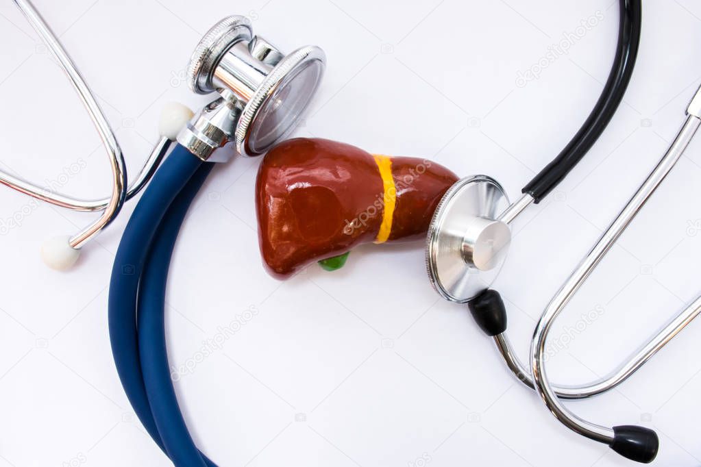 Medical concept in hepatology and liver  and gall bladder examination. Anatomical figure copy of liver or hepar with gallbladder is surrounded by two heads of stethoscopes, which examined it top view