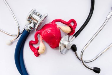 Kadın hastalıkları ve Doğum tıbbi kavram. Rahim ekleri - yumurtalık ve fallop tüpleri ile anatomik şekil kopyasını üstten görünüm muayene Stetoskoplar iki kafa ile çevrilidir