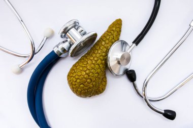 Endokrinoloji, Gastroenteroloji ve sindirim sistemi muayene tıbbi kavram. Pankreas bezi kopyasını anatomik şekil üstten görünüm muayene Stetoskoplar iki kafa ile çevrilidir