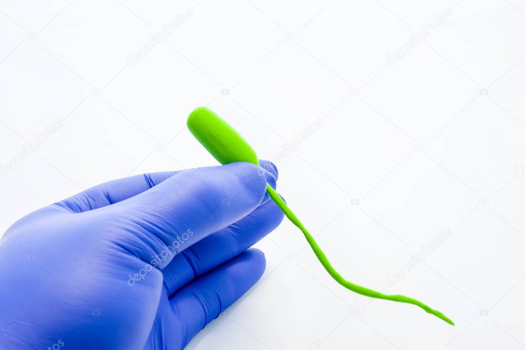 Scientist, doctor or teacher holding shape of a microorganism with one tail - flagella on white background. Enlarged model of pathogenic bacteria such as vibrio cholerae, campylobacter, pseudomonas 