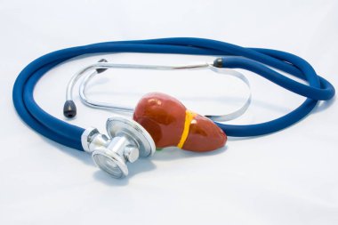 Mavi stetoskop beyaz arka plan üzerinde karaciğer şekli çevreleyen. Fikir fotoğraf tanı, önleme ve karaciğer ve hepatobiliary sistem, ameliyat öncesi hazırlık, araştırma veya test hastalıklarının tedavisi