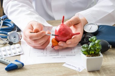 Doktorlar randevu hekim gösterilere idrar kesesi organ eliyle odaklı hasta şekli. Hasta nedenleri ve mesane ve üriner sistem hastalıkları yerelleştirilmesini açıklayan sahne