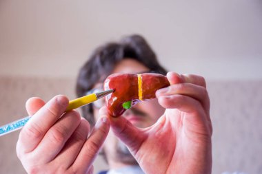 Doctor on defocused background holds in his hand anatomic model of gallbladder and liver, pointing with pen in hand on gall bladder in foreground. Localizing pathology, illness or problems with organ clipart