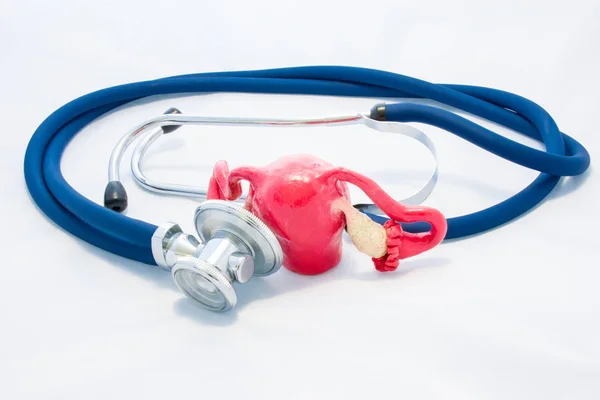 Postać Kobiety Macicy Jajnikami Znajduje Się Białym Tle Niebieski Stetoskop — Zdjęcie stockowe