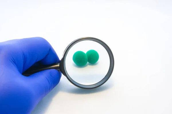 Diplokocker Bakterier Mikrobiologi Test Eller Analys Koncept Foto Som Streptococcus — Stockfoto