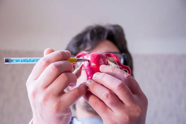 Dokter Intreepupil Achtergrond Houdt Zijn Hand Anatomisch Model Van Vrouwelijke — Stockfoto