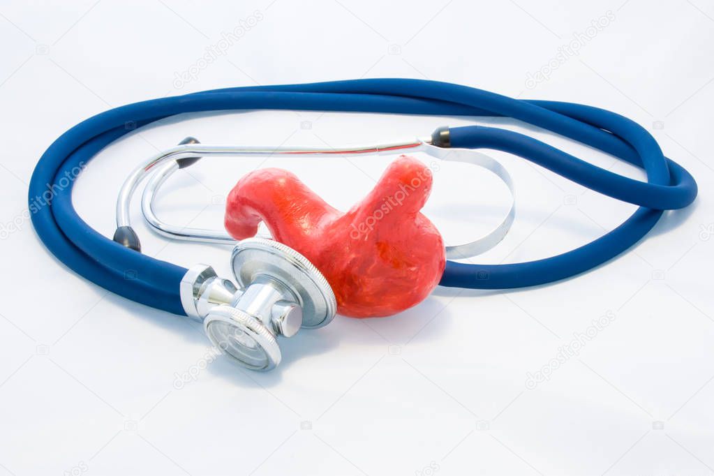 Blue stethoscope encircles stomach shape on white background. Idea of photo diagnosis, prevention and treatment of diseases of stomach and digestive tract, preoperative preparation, research