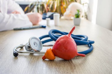 Mesane ve prostat tanısı ve tedavisinde konsept fotoğraf. Ön planda stetoskop yakınında mesane modeli masada bulanık siluet Doktor, tıbbi belgeleri doldurma
