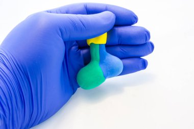 Doktor, bilim adamı veya araştırmacı hipofiz bezi genişlemiş anatomik modeli tutan-beynin ana bezi, hangi iki renk bölgelerine ayrılmıştır-nörohipofiz ve adenohipofiz ve SAP