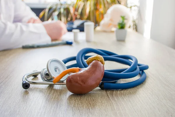 Concept photo of diagnosis and treatment of kidneys. In foreground is model of kidney near stethoscope on table in background blurred silhouette doctor at table, filling medical documentation