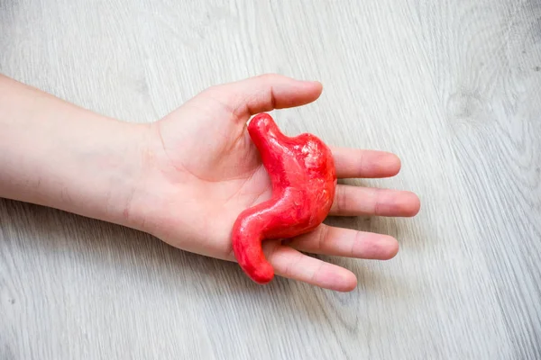 In palm of hand lying on wooden floor, is anatomical model of gastric or stomach. Concept photo depicting stomach illness such as cancer as cause of death, organ donation after death of patient