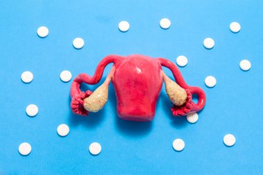 3D anatomical model of uterus with ovaries is on blue background surrounded by white pills as ornament polka dots. Medical concept by pharmacological tableted treating of uterus disease, chemotherapy clipart