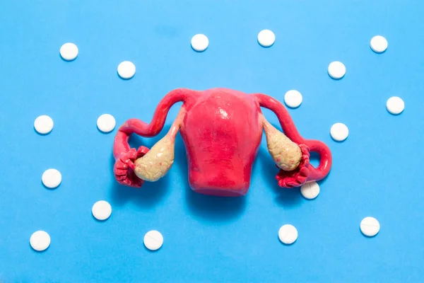 3D anatomical model of uterus with ovaries is on blue background surrounded by white pills as ornament polka dots. Medical concept by pharmacological tableted treating of uterus disease, chemotherapy