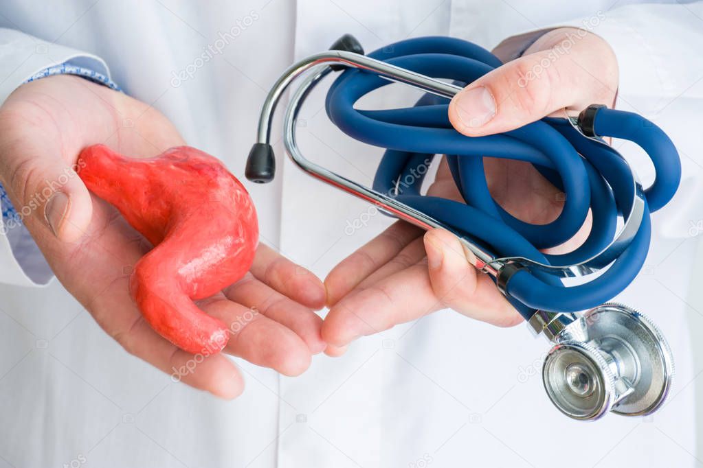 Concept photo diagnostics and treatment of diseases of stomach and digestive tract. Doctor dressed in white lab coat in one hand holds figure of stomach, in another twisted stethoscope photo close up