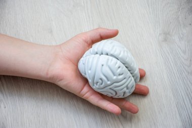 In palm of hand lying on wooden floor, is anatomical model of human brain. Concept photo depicting brain and nervous illness such as cancer as cause of death, organ donation after death of patient clipart
