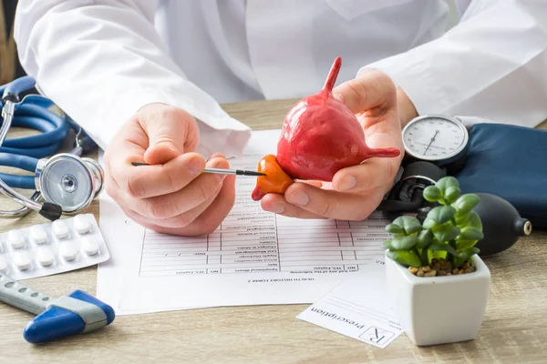 Cita Con Médico Médico Muestra Forma Del Paciente Glándula Prostática — Foto de Stock