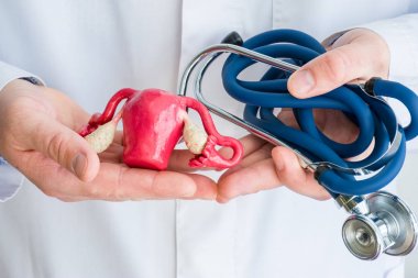 Kavram fotoğraf teşhis ve rahim hastalıklarının tedavisi, gebelik, kadın üreme sistemi. Laboratuvar önlük Doktor bir elinde rahim rakam tutun, başka bir bükülmüş stetoskop fotoğraf yakın