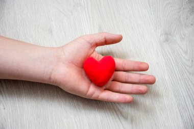 Ahşap zemin üzerinde yatan avuç içinde, kalp anatomik bir modeldir. Ölüm nedeni olarak başarısızlık, hastanın ölümünden sonra organ bağışı gibi kalp veya kardiyovasküler hastalığı betimleyen konsept fotoğraf