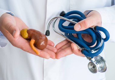 Böbrek ve böbrek bezi hastalıklarının konsept fotoğraf teşhisi ve tedavisi. Bir elinde böbrek figürü olan beyaz laboratuvar önlüğü giymiş bir doktor, diğer bir bükülmüş steteskop fotoğrafında ise yakın plan.