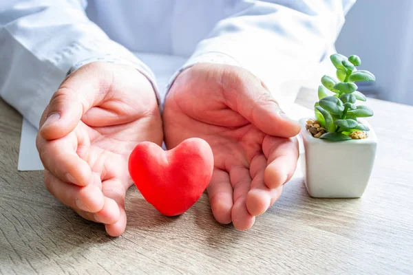 Protection, treatment, prevention and patronage health of heart and cardiovascular system against diseases and pathologies concept photo. Doctor surrounded heart shape with his hands on his desk