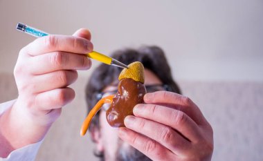 Odaklanamayan arka plandaki doktor elinde adrenalin ya da süprarenal bezin anatomik modelini tutuyor. Ön planda adrenalin üzerine elinde kalemle işaret ediyor. Yerelleştirme patoloji, hastalık veya organ sorunları