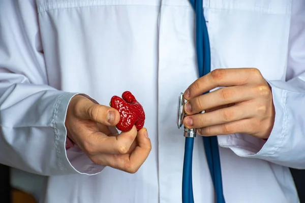 Koncepcja Zdjęcia Diagnozy Endokrynologii Lekarz Trzymać Jednej Ręce Modelu Tarczycy — Zdjęcie stockowe