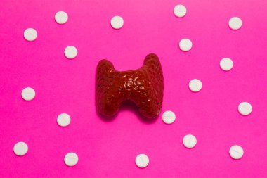 Anatomik orijinale karşılık gelen tiroid bezinin modeli veya şekli, pembe arka planda polka noktalarıyla süslenmiş beyaz haplarla çevrelenmiştir. Endokrinolojide ve hormonlarda kullanılmak üzere fotoğraf