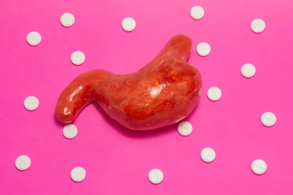 Anatomiczna Postać Żołądka Identyczny Kształt Żywych Narządów Jest Różowym Tle — Zdjęcie stockowe