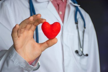 Çalışmanın konsept fotoğrafı veya kardiyolojide teşhis. Beyazlı doktor kardiyolog insan kalbinin modelini elinde tutuyor, teşhis, tedavi ve kardiyovasküler hastalıkların önlenmesini sağlıyor. 