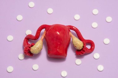 Anatomical model of female uterus with ovaries is on purple background with white tablets around, forming ornament in polka dots. Concept art photo for use in gynecology, women reproductive health clipart