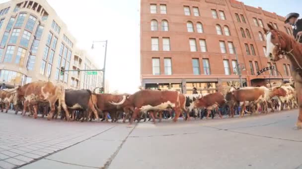 Denver Colorado États Unis Janvier 2018 Pov Défilé Lancement National — Video