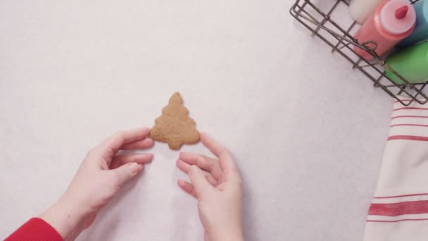 Dekorera Pepparkakor Med Royal Icing För Jul — Stockvideo