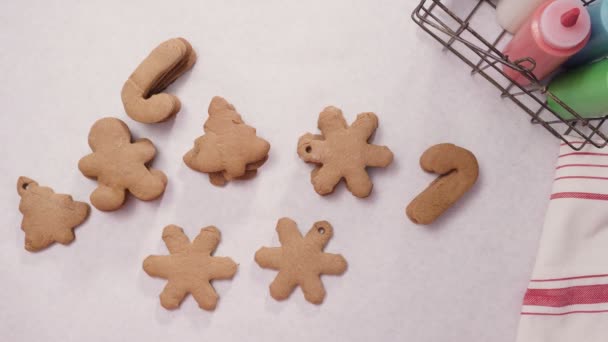 Lebkuchen Mit Königlichem Zuckerguss Weihnachten Dekorieren — Stockvideo