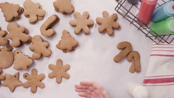 Dekorera Pepparkakor Med Royal Icing För Jul — Stockvideo