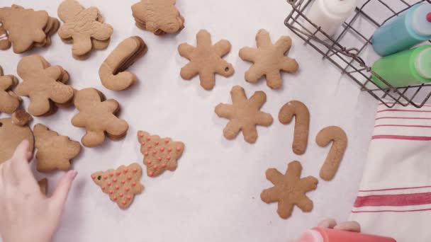クリスマスのため高貴なアイシングとジンジャーブレッドのクッキーを飾ること — ストック動画