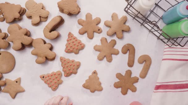 Decorating Gingerbread Cookies Royal Icing Christmas — Stock Video