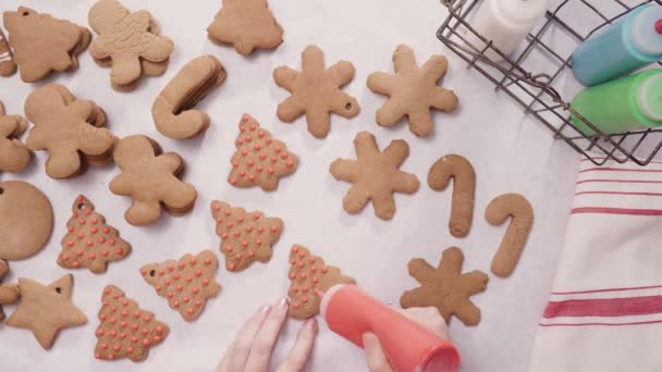 Lebkuchen Mit Königlichem Zuckerguss Weihnachten Dekorieren — Stockvideo