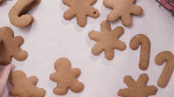 圣诞节用皇家糖衣装饰姜饼饼干 — 图库视频影像