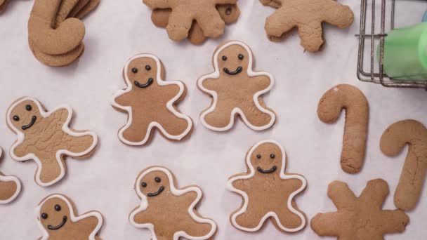 Dekorera Pepparkakor Med Royal Icing För Jul — Stockvideo