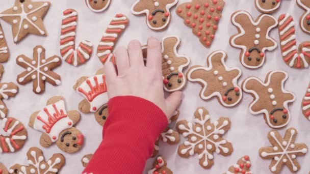 圣诞节用皇家糖衣装饰姜饼饼干 — 图库视频影像