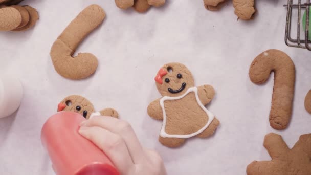 Tempo Scaduto Decorare Biscotti Pan Zenzero Con Glassa Reale Natale — Video Stock